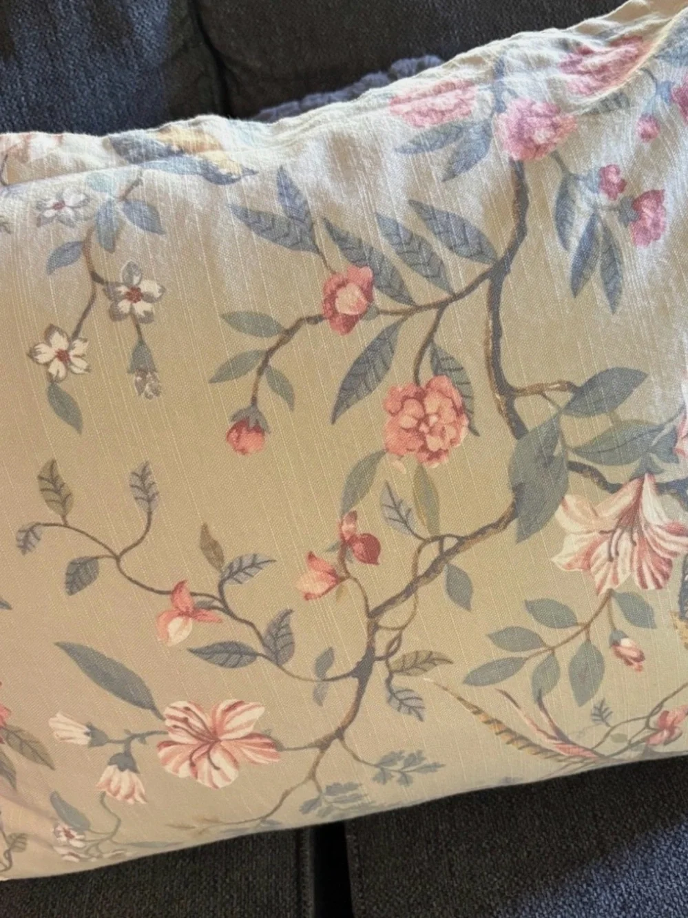 Chinoiserie Floral Accent Standard Queen Pillow Cover in Blush and Sage